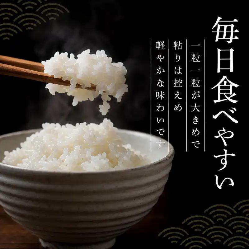 【令和8年産】 ふさおとめ　無洗米　10kg（5kg×2）【 お米 精米 大粒 粘り気 ファン 】 千葉県 