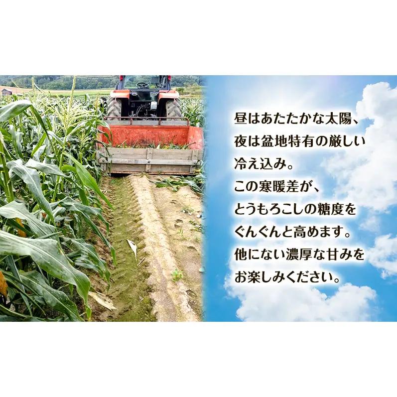 【2026年夏出荷】富良野産 とうもろこし ゆめのコーン 10本 (約5kg) L～LLサイズ 野菜 新鮮 直送 コーン とうきび 道産 北海道 幕田農園