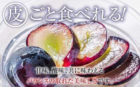 【先行予約】2025　ナガノパープル【訳あり粒抜け等】　房複数　約1キロ　長野県産  【9月下旬頃～順次発送予定】国際特許有機肥料栽培