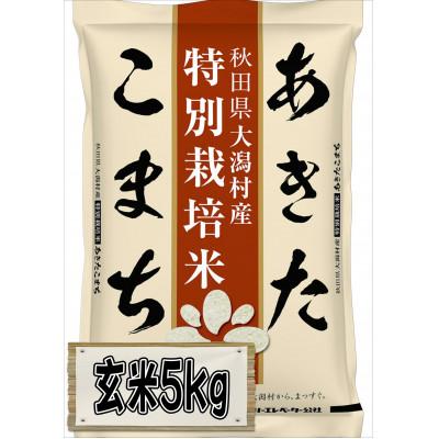 ふるさと納税 大潟村 【毎月定期便】あきたこまち特別栽培玄米5kg全9回