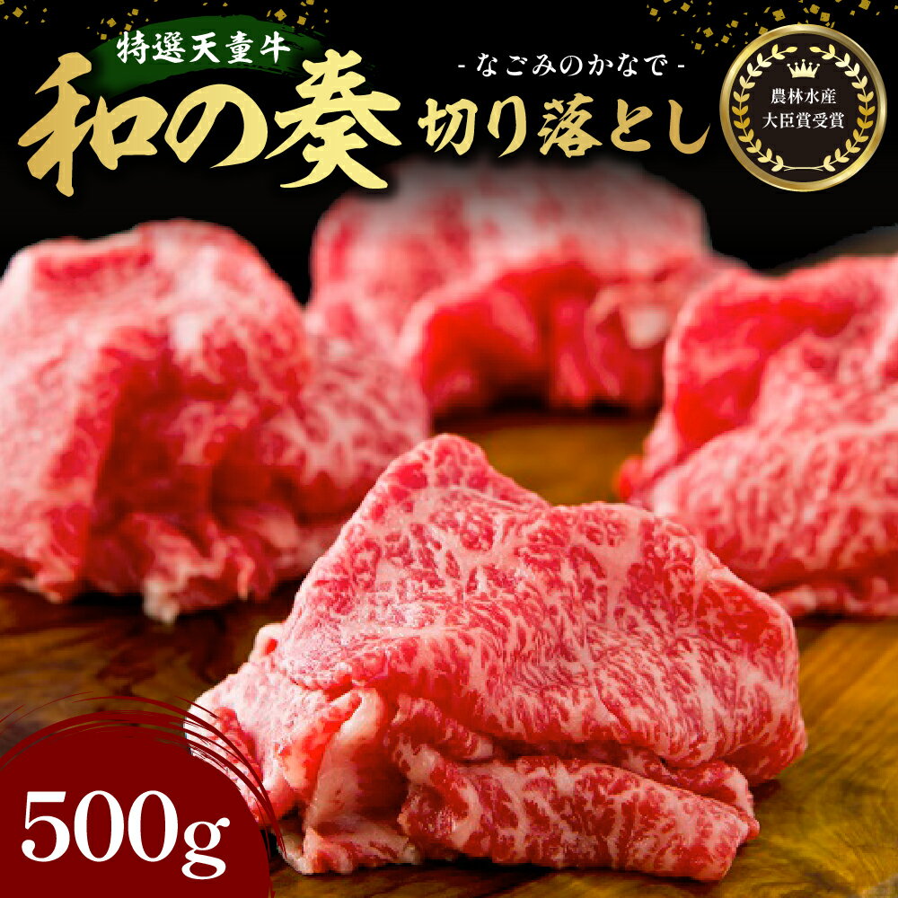特選天童牛"和の奏"切り落とし500g【山形県 天童市】