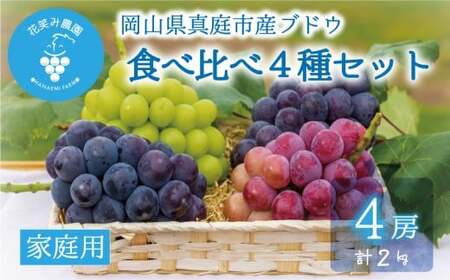 【2026年の先行予約】花笑み農園のぶどう『食べ比べ４種セット』 シャイン入り2kg 家庭用 岡山 詰め合わせ 真庭市 【hana087-01】