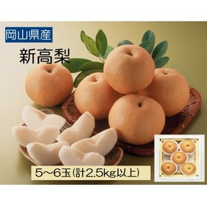 ◆先行受付◆　岡山県産　新高梨　2025年発送【配送不可地域：離島】【1350318】