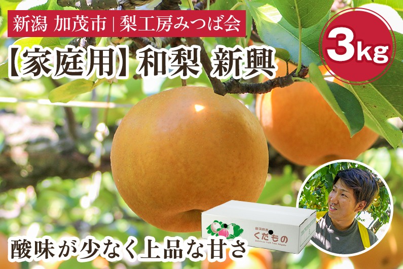 
                  【2026年先行予約】【家庭用】新潟県産 和梨 新興 3kg（4～7玉）《10月下旬～順次発送》しんこう 果物 フルーツ 秋の味覚 加茂市 梨工房みつば会
                