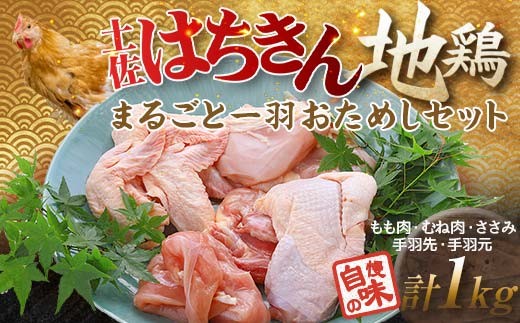 土佐はちきん地鶏 まるごと一羽おためしセット 約1kg もも肉 むね肉 ささみ 手羽先 手羽元 地鶏 モモ肉 ムネ肉 胸肉 ササミ 鶏肉 とり肉 とりにく 肉 高知県 大川村 F6R-010