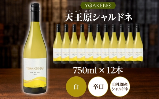 YOAKENO 天王原シャルドネ 750ml×12本177-4-081 |天王原シャルドネ 白ワイン 12本天王原シャルドネ 白ワイン 12本天王原シャルドネ 白ワイン 12本天王原シャルドネ 白ワイ