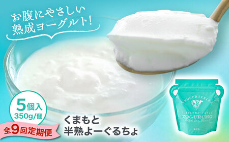 【全9回定期便】オオヤブデイリーファーム くまもと半熟よーぐるちょ 350g×5個ヨーグルト[AYAE021]