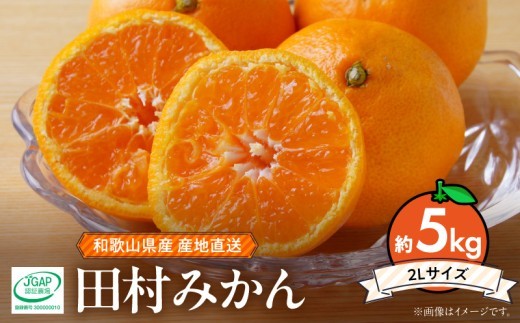 
                  【ふるさと納税】【2026年先行予約】和歌山 湯浅町産 田村みかん 約5kg【2L】 サイズ ミカン 蜜柑 柑橘 温州みかん 有田みかん 和歌山 大粒_ZE6345n
                