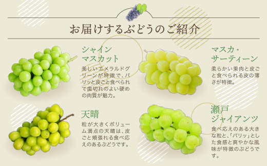 季節のぶどう3種セット 約1.5kg ぶどう 葡萄 福岡県 福智町産 ブランド 果実 送料無料 《 予約受付 》 ぶどう 葡萄 ぶどう 葡萄 ぶどう 葡萄 ぶどう 葡萄 ぶどう 葡萄 ぶどう 葡萄 ぶ