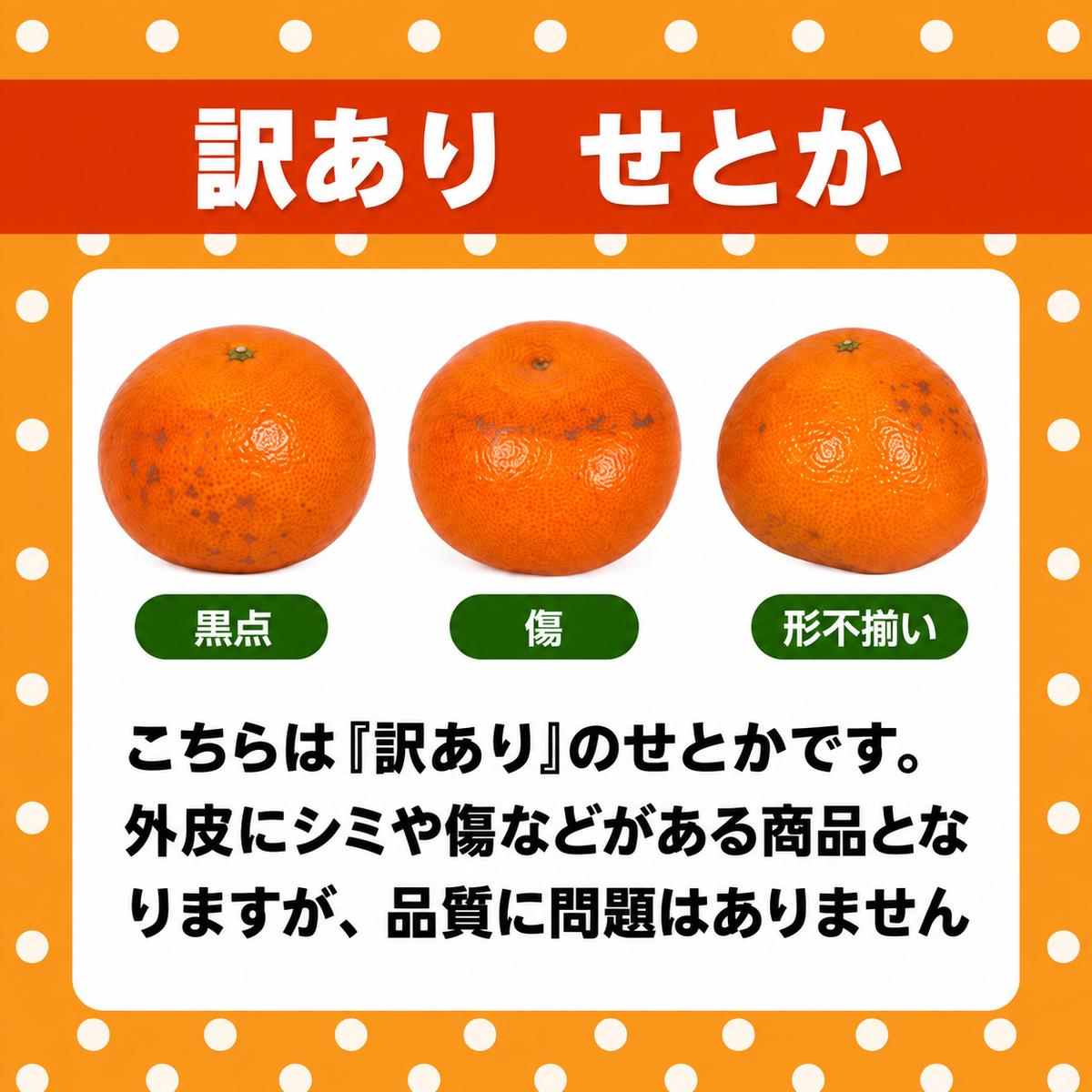 【先行予約】訳あり せとか 3kg 柑橘の大トロ かんきつ みかん 柑橘 みかん 蜜柑 完熟みかん おやつ 家庭用みかん 箱入りみかん ご家庭用みかん 果物 くだもの 果実 愛媛県 愛南町 みかん職人