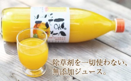 果汁100％！くしもとポンカンジュース 900g ×3本セット 無添加 果肉入りストレートジュース【sse206A】