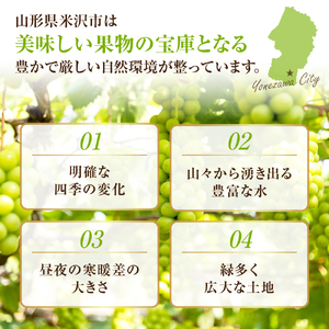 《 先行予約 / 令和7年産 》【 定期便 】 山形県産 大玉シャインマスカット 700g (1房)　2回〔 9月下旬頃 ～ お届け 〕 ぶどう 白ぶどう 2025年産