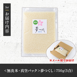 ＜無洗米・真空パック＞夢つくし(750g) 無洗米 真空パック 米 お米 白米 ごはん ご飯 常温 福岡県産 小分け ブランド米 福岡県産 5合 ローリングストック キャンプ アウトドア ストック 防