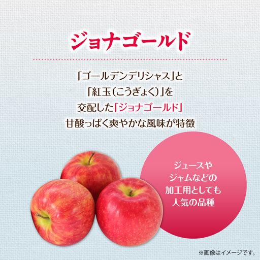 【先行予約】＜2026年10月下旬よりお届け＞北海道壮瞥町　りんご　品種名「ジョナゴールド」8～10玉約3kg SBTF018
