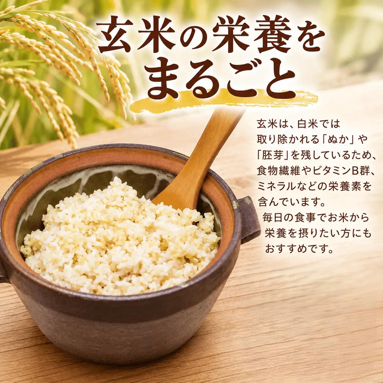 ＼まもなく発送開始／ 玄米 令和8年度産 コシヒカリ 10kg [A-mry003]