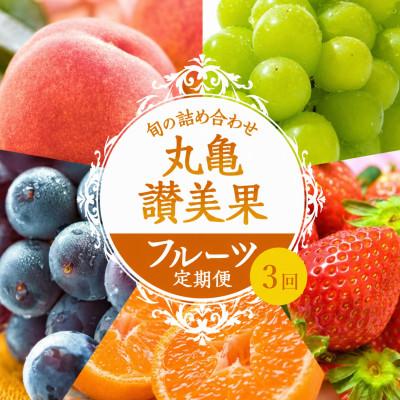 ふるさと納税 丸亀市 【毎月定期便】丸亀讃美果 フルーツ定期便全3回