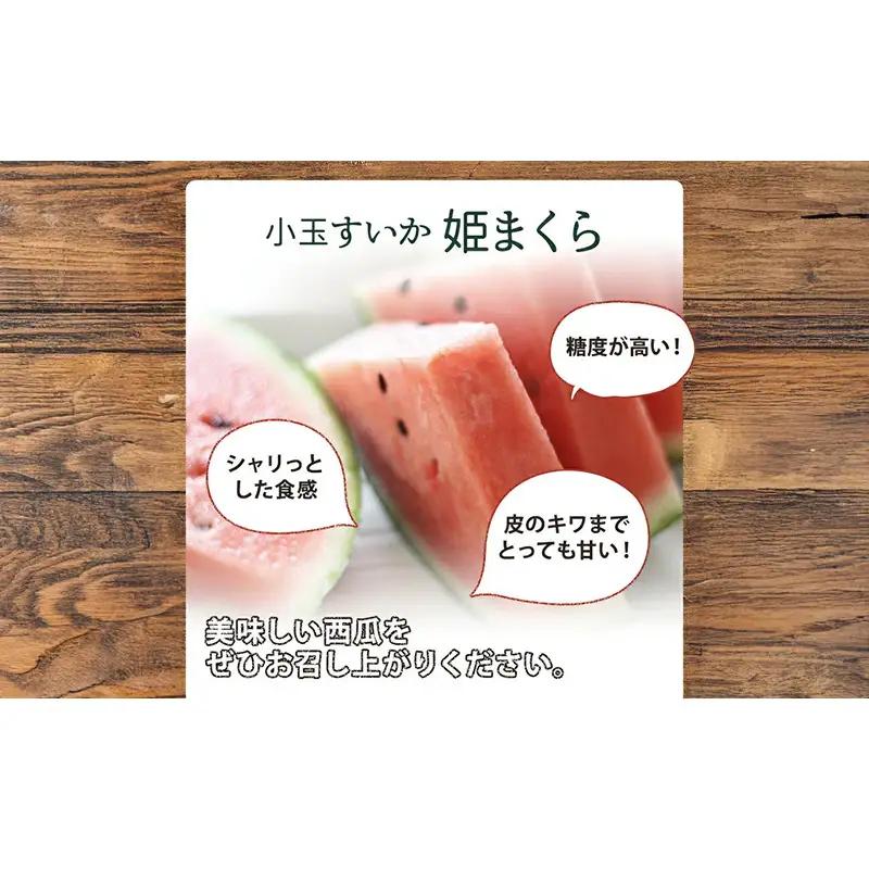 【浜松市産】小玉すいか 姫まくら 4個入 約10kg すいか スイカ 西瓜 果物 くだもの フルーツ プレゼント お中元 糖度 静岡 浜松市【配送不可：離島】 
