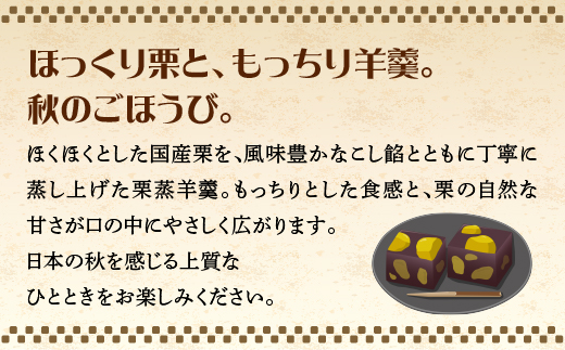 栗蒸し羊羹 10個入り 40P5619