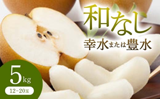 《先行予約 2026年度発送》 和なし(幸水または豊水) 5kg  なし ナシ 梨 デザート フルーツ 果物 くだもの 果実 食品 山形県 FSY-0709