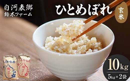 令和7年産米 白河表郷 ひとめぼれ 玄米 10kg 米 コメ ごはん ご飯 食品 F24R-195