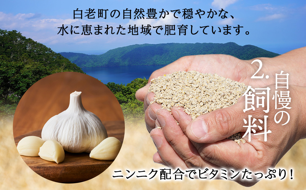 北海道産 白老豚 挽肉 300g×10パック BV014_イメージ3