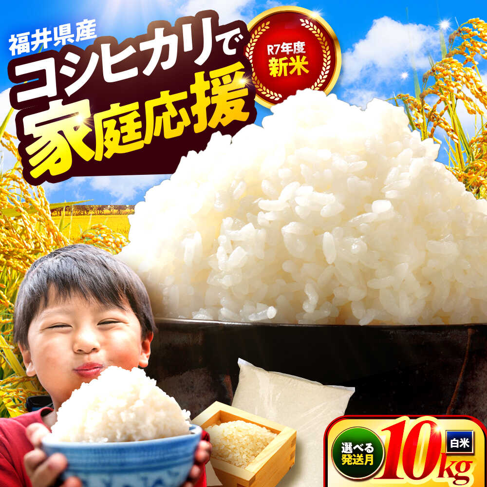 【ふるさと納税】【選べる発送月】 お米 小浜産 コシヒカリ 10kg / 白米 米 国産 こしひかり 精米 福井県 小浜市産 厳選 老舗 米問屋 ごはん ご飯 お弁当 おにぎり 普段使い 家庭用 食品 グルメ お取り寄せ 常温 配送 指定日不可 若狭 小浜市 / 梅田東米穀店 [BFEK001]