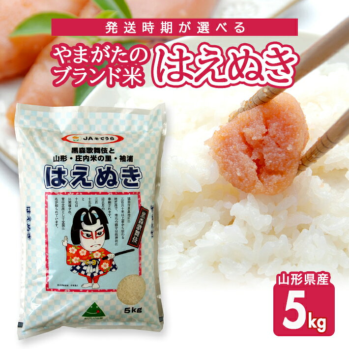 【ふるさと納税】はえぬき 5kg 山形県産 令和7年産米 ご希望の時期頃お届け 農協 JA 米 お米 精米 白米 ごはん 東北 酒田市 庄内 発送時期が選べる