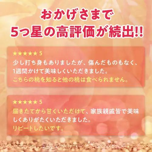 透過式光センサー川中島白桃 特秀3kg相当 9玉～11玉＜ ふくしま未来農業協同組合 ＞ | ふくしま 桃 福島 もも 国見 モモ ※2026年8月中旬頃より順次発送予定 ※沖縄・離島への配送不可