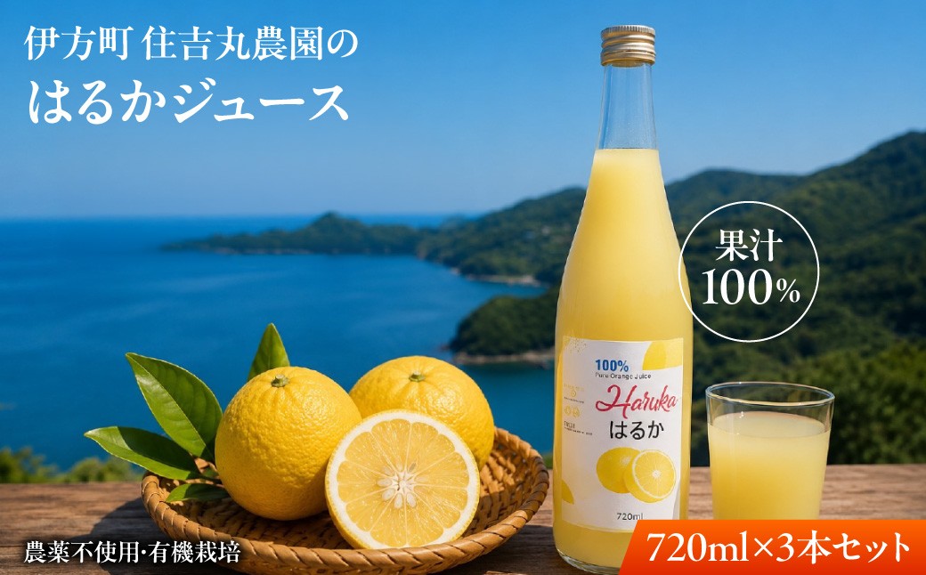 
                  はるかジュース 720ml×3本  【ふるさと納税 人気 おすすめ ランキング はるかジュース みかん  ミカン オレンジ　無農薬　有機栽培　佐田岬半島　農家直送　住吉丸農園  愛媛県 伊方町 送料無料】 IKTBN011
                