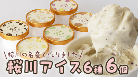 【生産者支援】桜川アイス 6種 6個 セット  数量限定 食べ比べ 90ml×6種類 桜川市のこだわり素材を使用 アイス あいす デザート スイーツ 産地限定 おやつ カップ フレーバー メロン ゆず 蜜芋 コーヒー 栗 茨城県  [SC040sa]