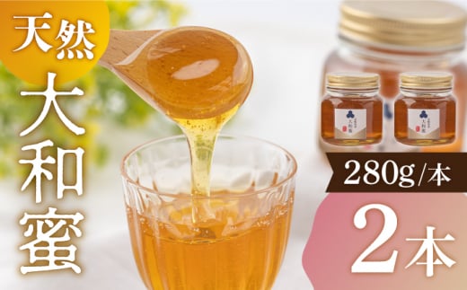 【長崎県産】大和蜜（天然はちみつ）280g×2本 長与町/蜜ロマン養蜂園 [ECE002] 百花蜜 国産 純粋蜂蜜 日本みつばち  大和蜂蜜 はつみつ ハチミツ 蜂蜜 ハニー 純粋
