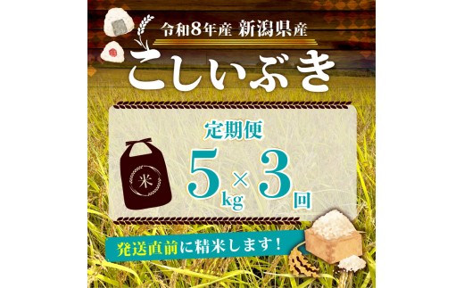【令和8年産 先行予約】 12月発送 新米 こしいぶき 5kg 3か月 定期便 新潟県産 新発田産 3カ月 3回 新潟 ふるさと納税 米 お米 白米 米 お米 こめ コメ ライス ご飯 ごはん 美味し