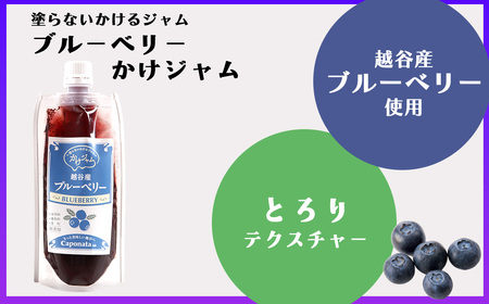 ブルーベリーのかけジャムパウチパックとあまりんのパウンドケーキセット ／ スイーツ ブルーベリージャム フルーツソース すっきり甘さ デザートソース ヨーグルトソース いちごパウンド 焼き菓子 おやつ