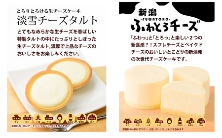 『新潟4種のチーズケーキ』 12個入り 1箱 人気の大糸チーズ、半熟ショコラ、新潟ふわとろチーズ、淡雪チーズタルト 優しい味わい ギフトにもおすすめ 新潟県 糸魚川市 ナカシマ のし対応可 チーズケー