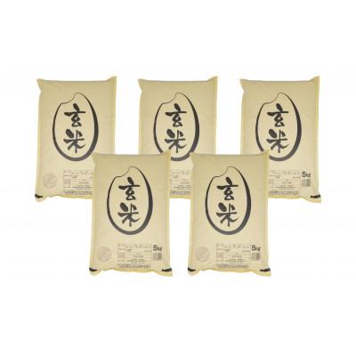 ふるさと納税 栗原市 【令和7年産】宮城栗原産 だて正夢 玄米25kg (5kg×5袋)