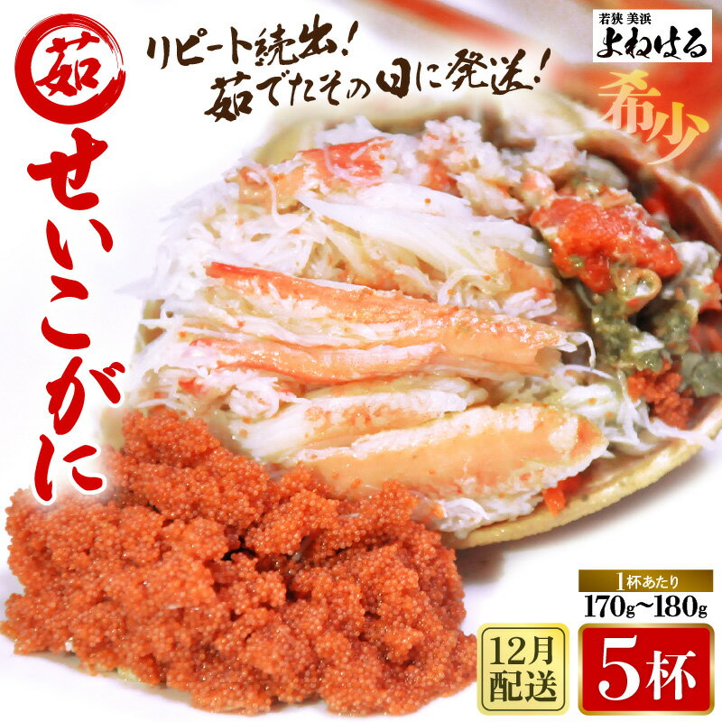 【ふるさと納税】【先行予約】天然 せいこがに × 5杯 (1杯約170g) 茹でたその日に発送！ 【2025年12月上旬以降順次発送予定】【冷蔵 本場の味 ボイル 越前ガニ 蟹 茹で セイコガニ ずわいがに ズワイガニ】