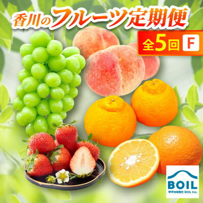 【ふるさと納税】【発送月固定定期便】香川のフルーツ(5F)全5回【配送不可地域：離島・北海道・沖縄県】【4083559】