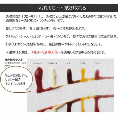 ふるさと納税 泉佐野市 拭き取れるテーブルクロス(ライトグリーン)(ダル10-LG) 099H353 |  | 03