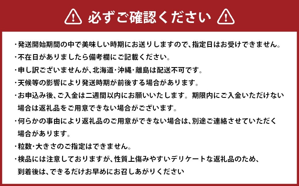 シャインマスカット 約2.0kg以上（2～5房） 【2026年10月下旬-11月下旬発送予定】 シャイン マスカット ぶどう 葡萄 ブドウ 果物 くだもの フルーツ ギフト お取り寄せ 国産
