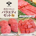 【ふるさと納税】【牧場直送】佐賀牛 食卓にうれしいバラエティ セット（切り落とし 500g＆ハンバーグ 4個＆サイコロステーキ 食べ比べ 300g）【有限会社佐賀セントラル牧場】詰め合わせ 牛肉 肉 お肉 セット 食べ比べ 和牛 切落し ステーキ [IAH205]