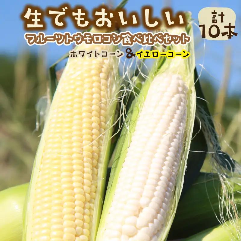 【先行予約】とうもろこし 食べ比べ 計10本 トウモロコシ