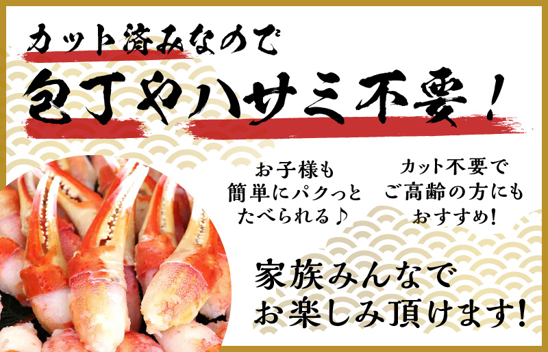 【年内発送】本ずわいがに 爪肉 約500g 加熱用