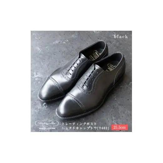 【25.5cm】トレーディングポスト パンチドキャップトウ[T602] （カラー：BLACK）