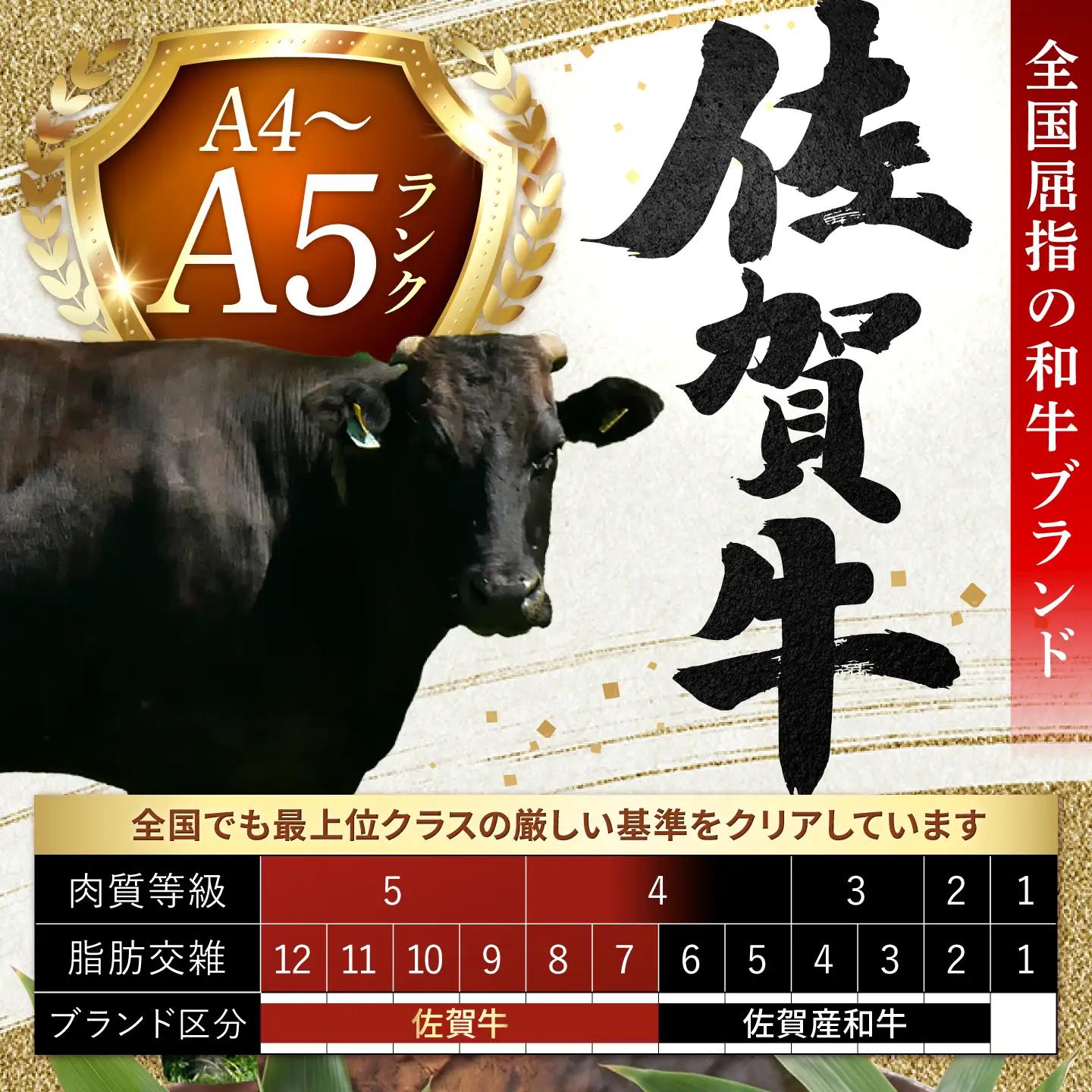 佐賀牛 ヒレステーキ 300g ヒレ 赤身[FDB024]