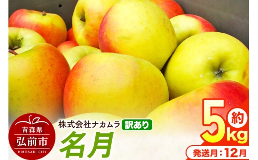 【26年12月発送】りんご 名月【訳あり】約5kg（14～23玉程度）先行受付 青森県産 林檎 リンゴ 果物 くだもの フルーツ 青森県 弘前市 不揃い 規格外 [先行予約 産地直送 家庭用 アップル おいしい めいげつ 果実 美味 甘い]