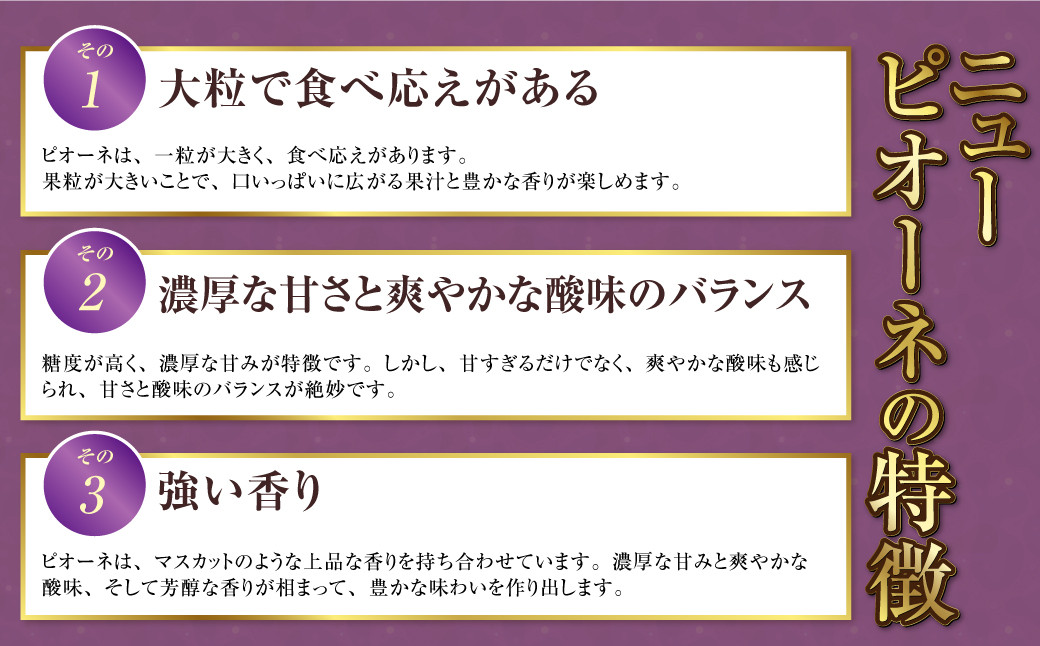 岡山県産 シャインマスカット 晴王＆ニューピオーネ 約500g×各1房 計1kg【2024年8月下旬～10月上旬迄発送予定】