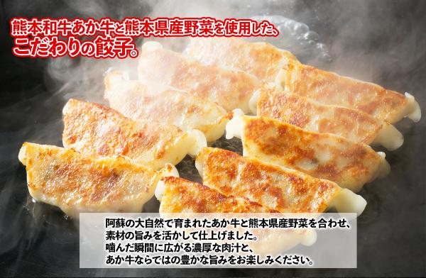 熊本和牛あか牛ぎょうざ 40個（発砲）ぎょうざ ギョーザ 選べる内容量 惣菜 冷凍餃子 大容量 冷凍 熊本県 水上村 40個