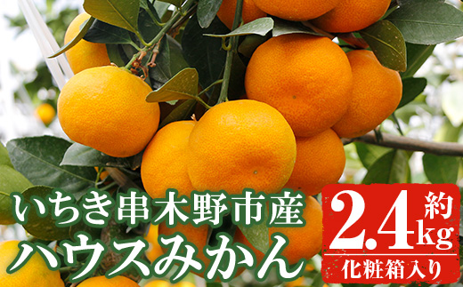 ＜先行予約受付中！2026年7月上旬頃より順次発送予定＞安心安全！JAさつま日置産 ハウスみかん(約2.4kg化粧箱) 国産 九州産 鹿児島県産 ハウスみかん ミカン みかん 蜜柑 柑橘 果物 果実 フルーツ 旬 デザート 予約【JAさつま日置北部営農センター】【00-039-01】