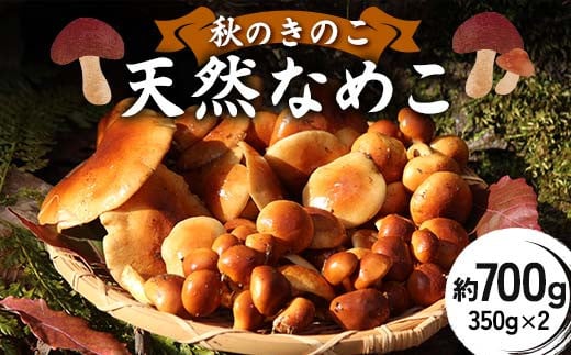 秋のきのこ 天然なめこ 約700g（350g×2袋） F2Y-6172