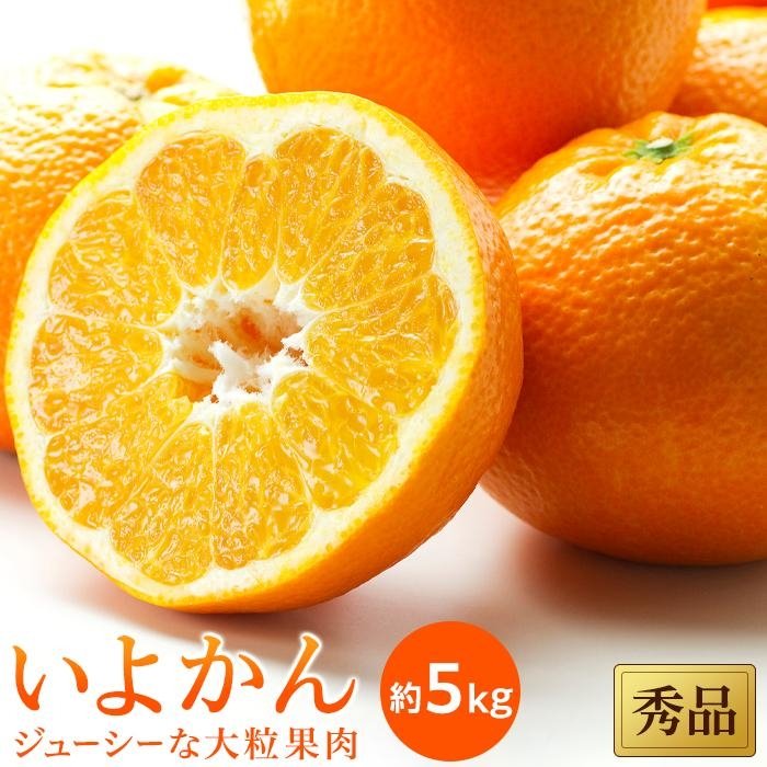 【ふるさと納税】【先行予約】【2026年1月中旬から発送予定】いよかん 秀品 約5kg | 愛媛 みかん 先行予約 蜜柑 柑橘 果物 くだもの フルーツ お取り寄せ グルメ 期間限定 数量限定 人気 おすすめ 愛媛県 松山市